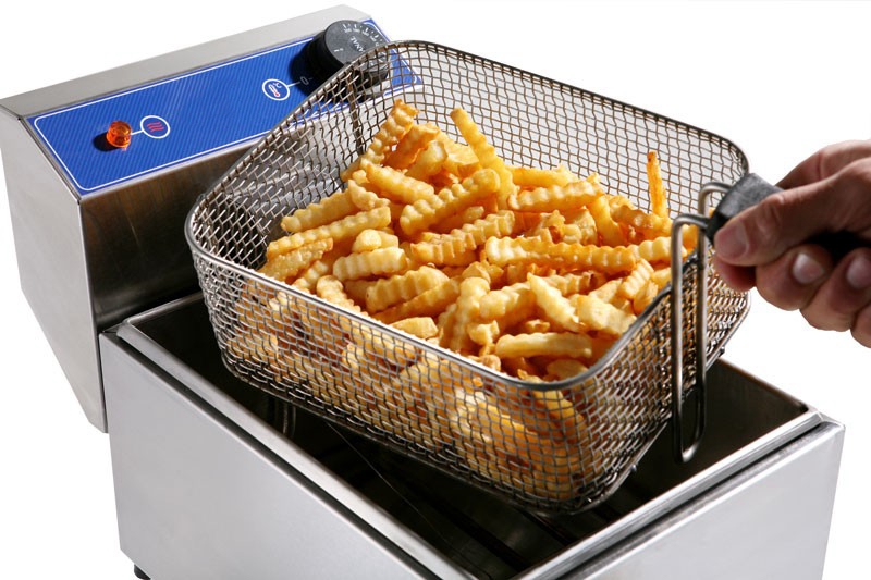 fritjurnica professional